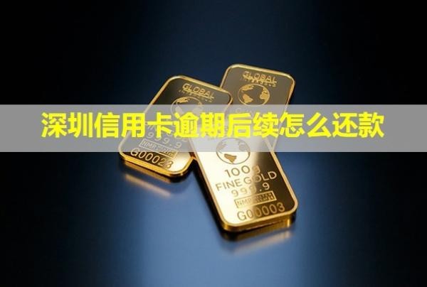 深圳信用卡逾期后續(xù)怎么還款？能免本金嗎？