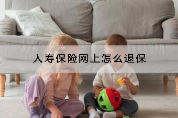 人壽保險網(wǎng)上怎么退保？退保多久到賬？