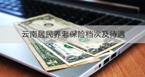 云南居民養(yǎng)老保險(xiǎn)檔次及待遇是怎樣的？怎么交？