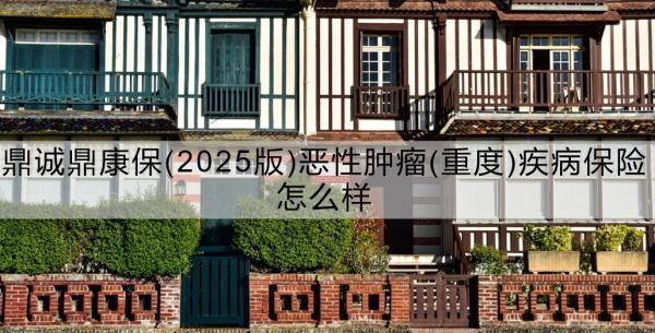 鼎誠鼎康保(2025版)惡性腫瘤(重度)疾病保險