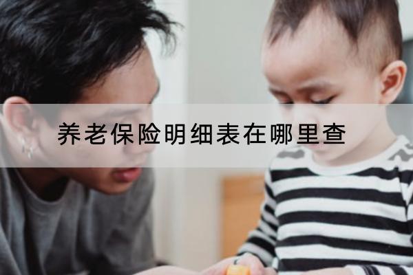 養(yǎng)老保險(xiǎn)明細(xì)表在哪里查？怎樣領(lǐng)得多？