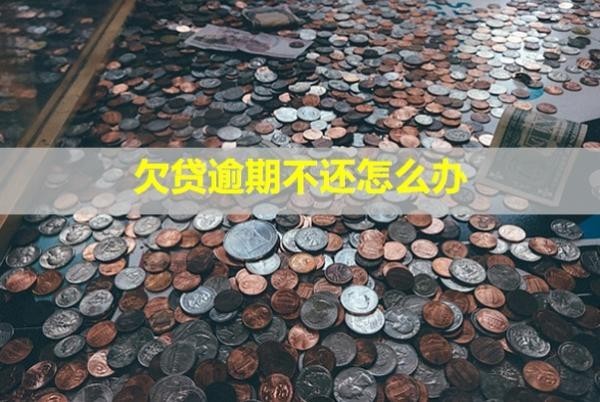 欠貸逾期不還怎么辦