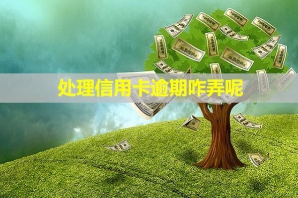 處理信用卡逾期咋弄呢？無力償還怎么停息掛賬？