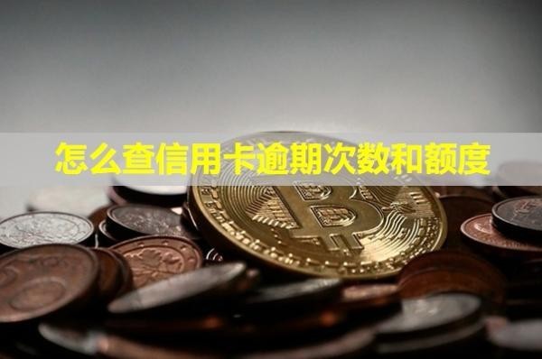 怎么查信用卡逾期次數(shù)和額度？