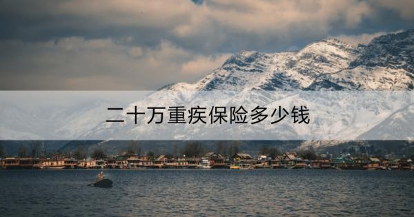 二十萬(wàn)重疾保險(xiǎn)多少錢
