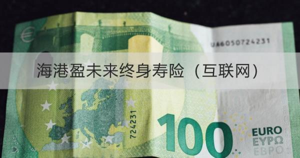 海港盈未來終身壽險（互聯(lián)網(wǎng)）投保規(guī)則詳解，基本信息+保障