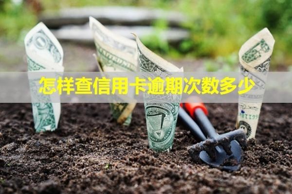 怎樣查信用卡逾期次數(shù)多少？還款后還能再用嗎？