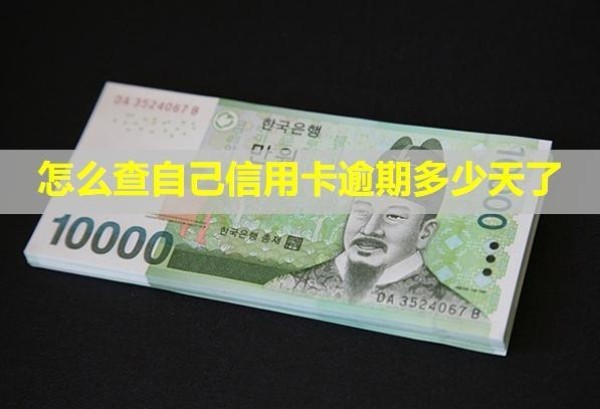 怎么查自己信用卡逾期多少天了？無力償還怎么辦？