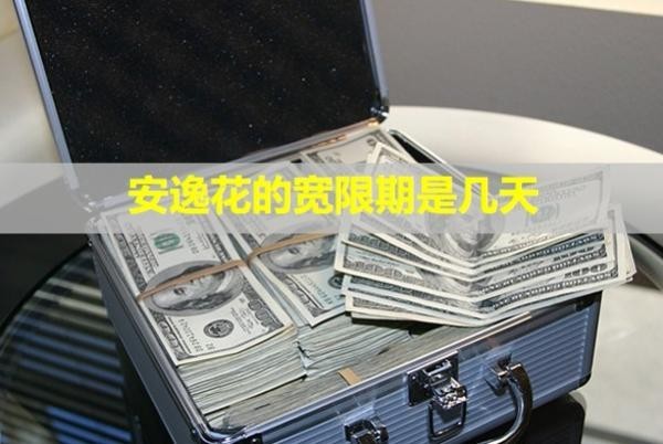 安逸花的寬限期是幾天？暫時(shí)還不上怎么辦？