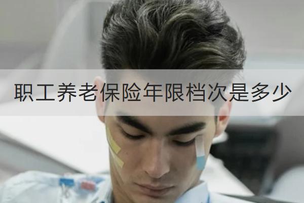 職工養(yǎng)老保險(xiǎn)年限檔次是多少？可以斷交嗎？