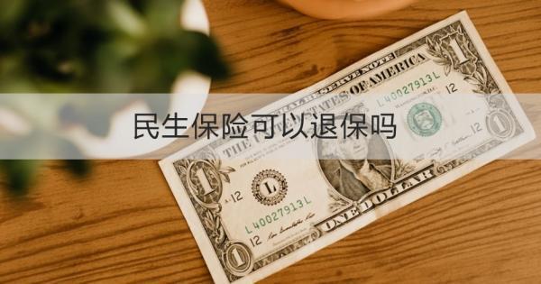 民生保險(xiǎn)可以退保嗎？退保怎么退？