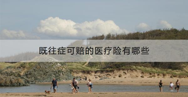 既往癥可賠的醫(yī)療險(xiǎn)有哪些？為什么很多醫(yī)療險(xiǎn)不賠付既往癥呢？