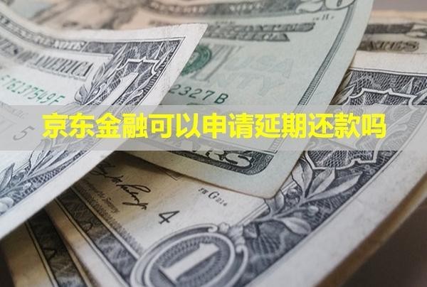 京東金融可以申請(qǐng)延期還款嗎？會(huì)上門催收和起訴嗎？