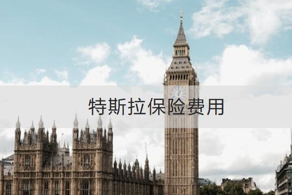 特斯拉保險(xiǎn)費(fèi)用多少？買哪些合適？