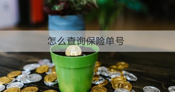 怎么查詢保險單號？查詢不到為什么？
