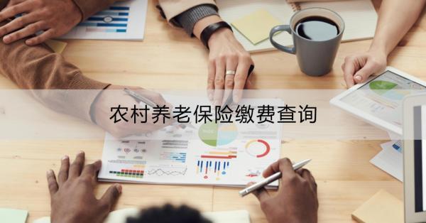 農(nóng)村養(yǎng)老保險(xiǎn)繳費(fèi)查詢