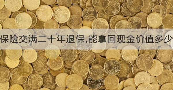 保險(xiǎn)交滿(mǎn)二十年退保,能拿回現(xiàn)金價(jià)值多少？需要注意什么？