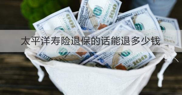 太平洋壽險退保的話能退多少錢？看完這篇文章就知道了