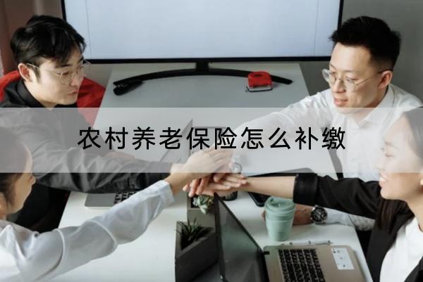 農(nóng)村養(yǎng)老保險(xiǎn)怎么補(bǔ)繳