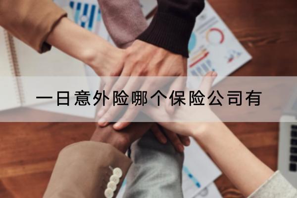 一日意外險哪個保險公司有