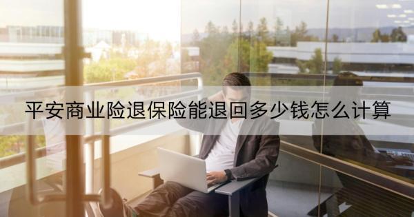 平安商業(yè)險(xiǎn)退保險(xiǎn)能退回多少錢怎么計(jì)算？退保險(xiǎn)線上退保流程？