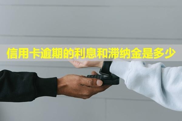 信用卡逾期的利息和滯納金是多少？多久能恢復(fù)信用？
