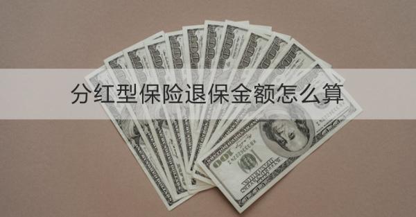 分紅型保險退保金額怎么算？需要哪些材料？