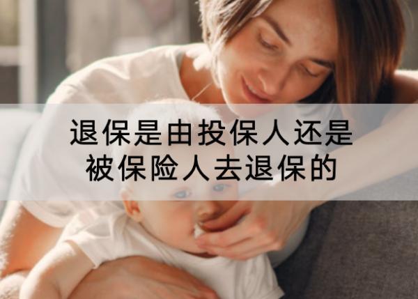 退保是由投保人還是被保險人去退保的？退保的流程是什么？