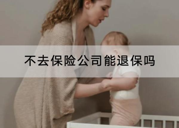 不去保險公司能退保嗎？保險退保怎樣可以退全款？
