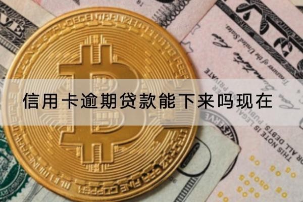 信用卡逾期貸款能下來嗎現(xiàn)在？想貸款怎么辦？