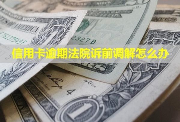 信用卡逾期法院訴前調(diào)解怎么辦？起訴會有什么后果？