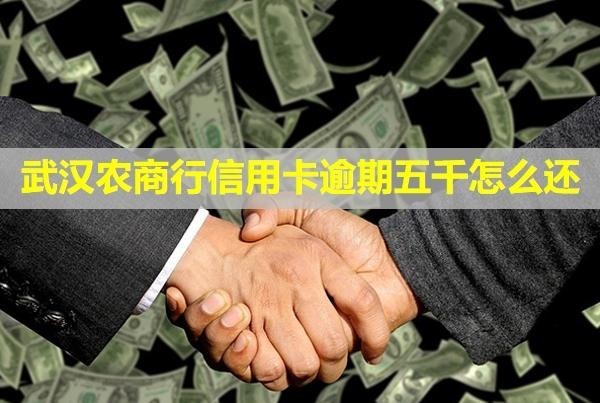 武漢農商行信用卡逾期五千怎么還？