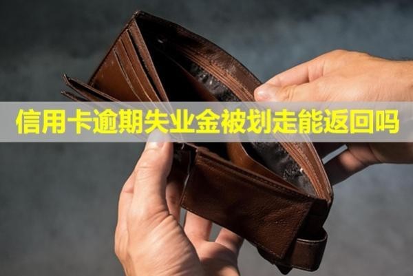 信用卡逾期失業(yè)金被劃走能返回嗎？催收人員上門(mén)了怎么辦？