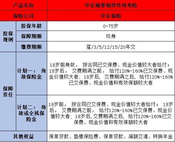 中宏臻愛相伴終身壽險