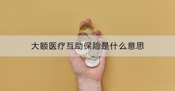 大額醫(yī)療互助保險是什么意思