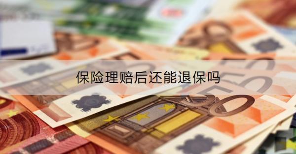 保險(xiǎn)理賠后還能退保嗎？退保流程是什么？