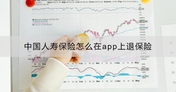 中國人壽保險(xiǎn)怎么在app上退保險(xiǎn)？附全流程！