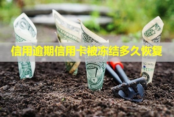 信用逾期信用卡被凍結(jié)多久恢復(fù)？卡還能用嗎？