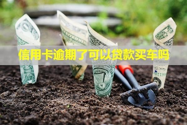 信用卡逾期了可以貸款買車嗎？可以協(xié)商只還本金嗎？