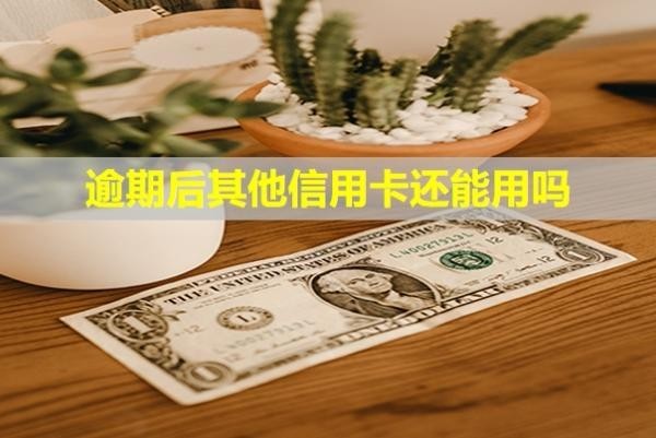 逾期后其他信用卡還能用嗎