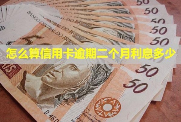 怎么算信用卡逾期二個(gè)月
