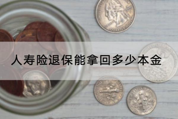 人壽險(xiǎn)退保能拿回多少本金