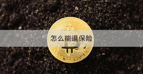 怎么能退保險(xiǎn)