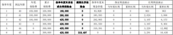 中融融耀年年兩全保險(xiǎn)(分紅型)