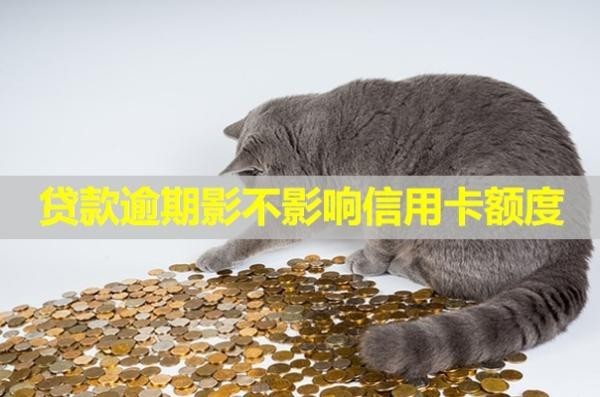 貸款逾期影不影響信用卡額度？