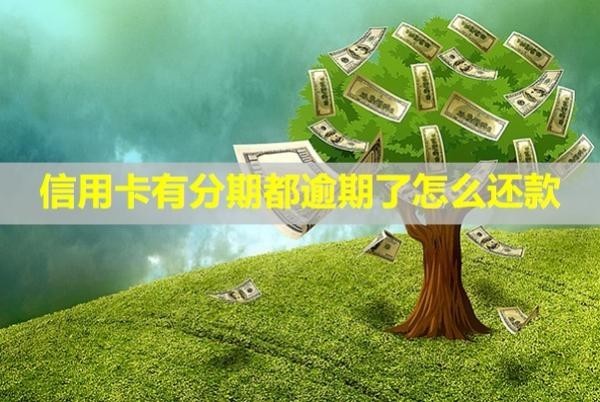 信用卡有分期都逾期了怎么還款？可以提前一次性還清嗎？