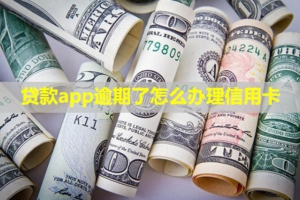 貸款app逾期了怎么辦理信用卡？怎么申請停息掛賬？
