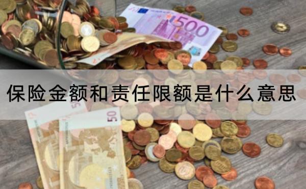 保險金額和責(zé)任限額是什么意思