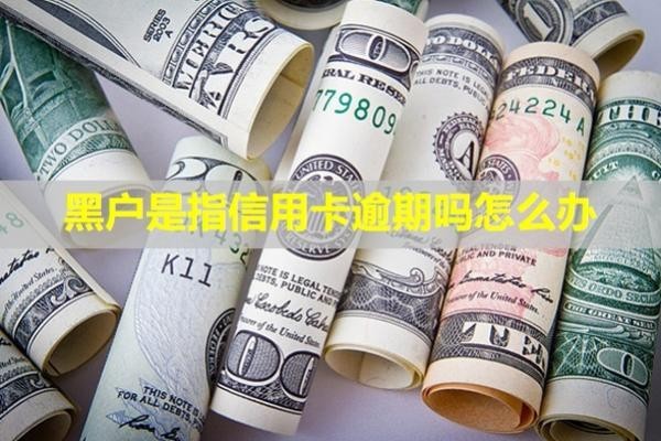 黑戶是指信用卡逾期嗎怎么辦