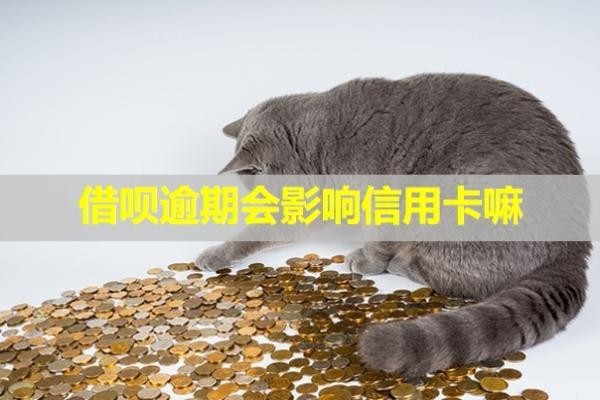 借唄逾期會(huì)影響信用卡嘛？可以申請(qǐng)延期還款嗎？